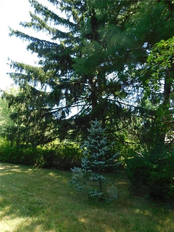 Single Family Residence at 8 C KINGSTOWN Road, Richmond, photo 18 of 22