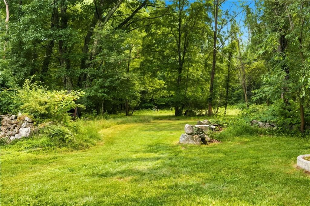225 Iron Mine Hill Road photo 34