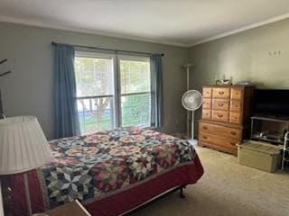50 Highland Street Unit 227 photo 14