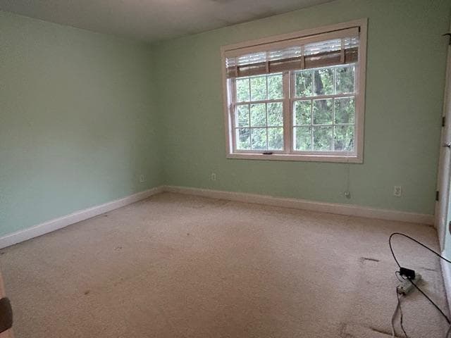 190 Hope Road photo 36