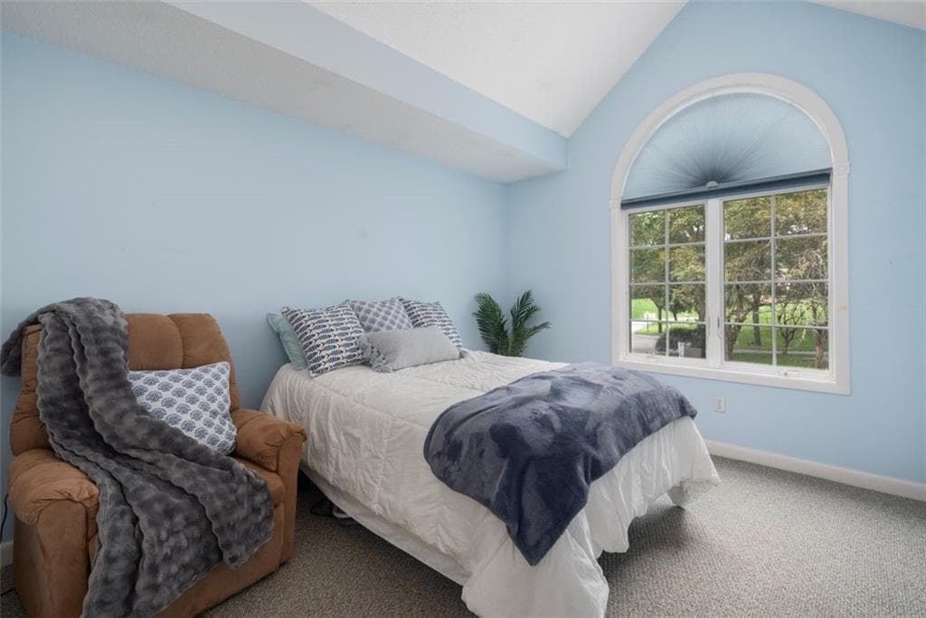 24 White Birch Court photo 14