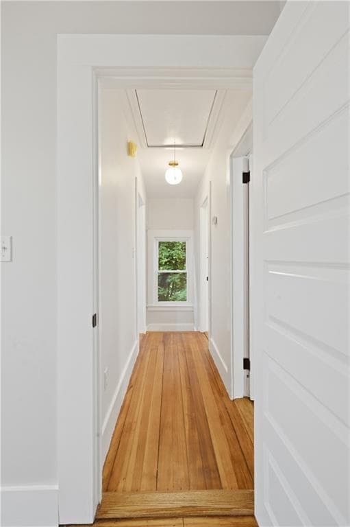 21 Princeton Street photo 24