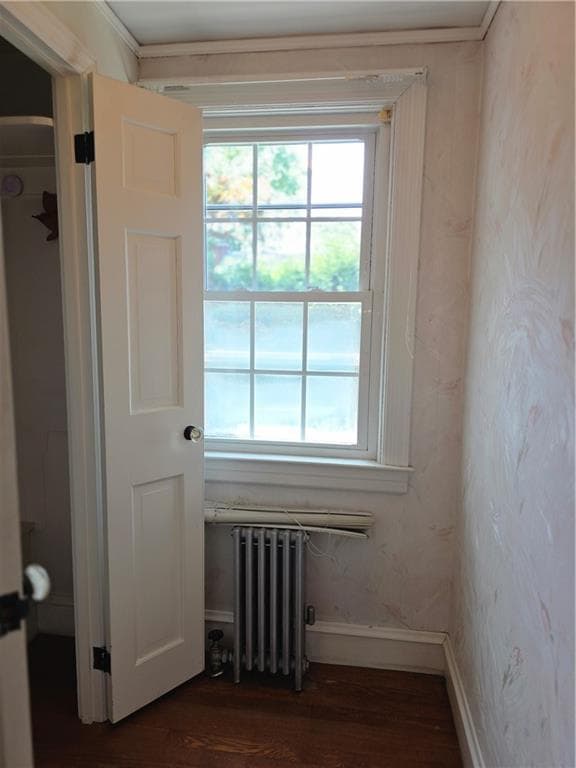 44 Betsey Williams Drive photo 17