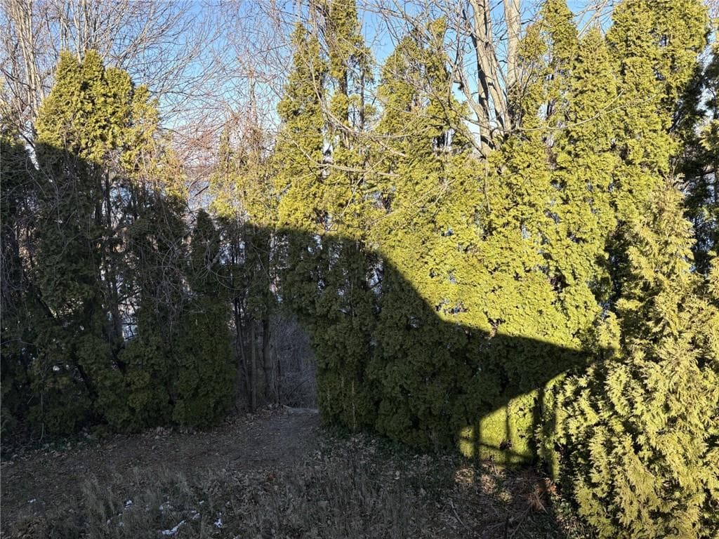 351 County Road photo 9