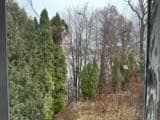351 County Road photo 4