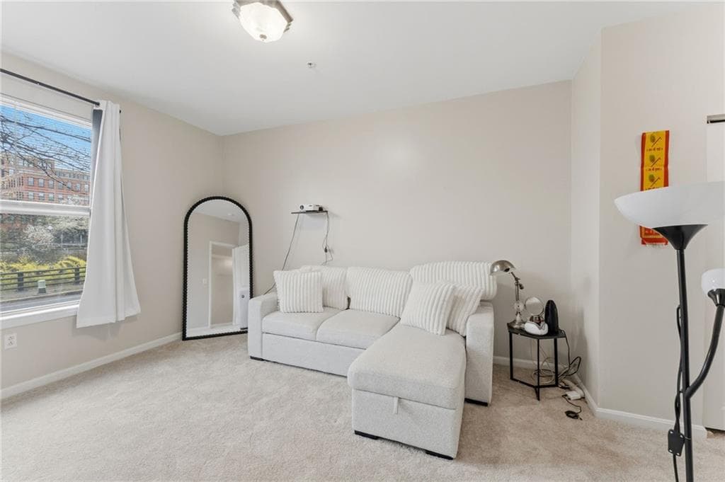1000 Providence Place UNIT 162 photo 5