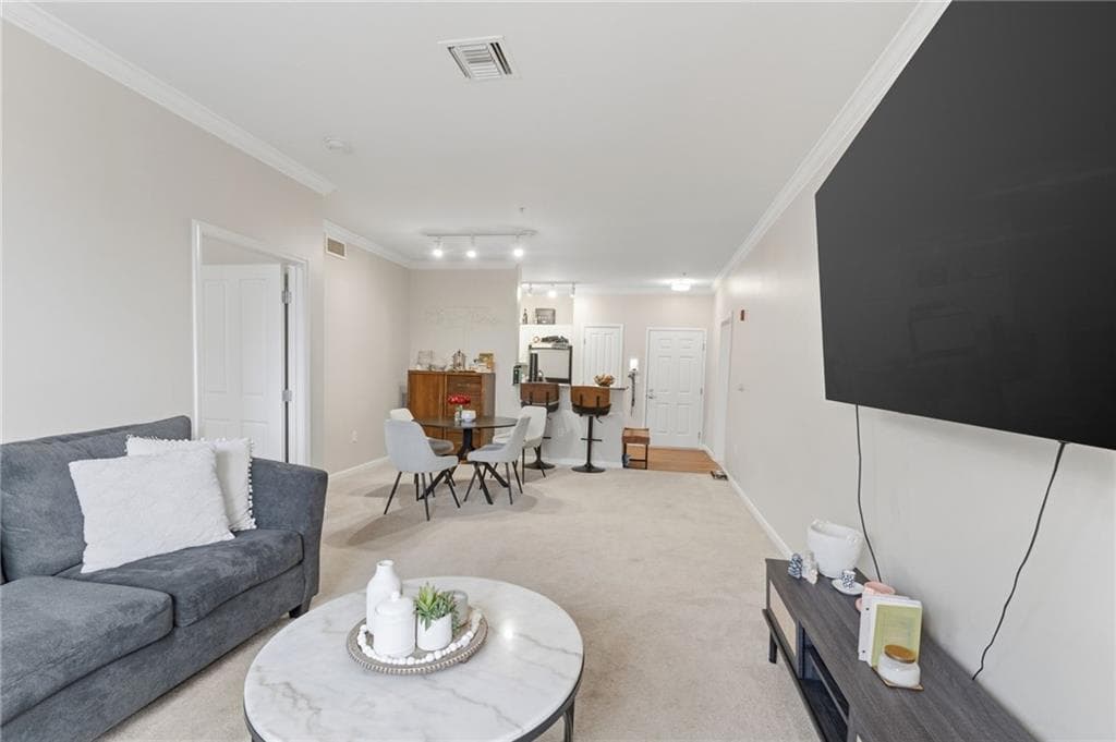 1000 Providence Place UNIT 162 photo 10