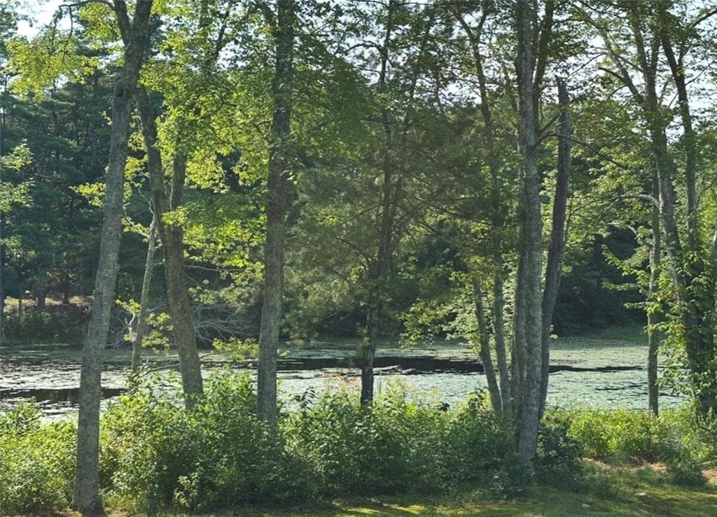 Single Family Residence at 53 SANDY BROOK Road, Glocester, photo 20 of 21