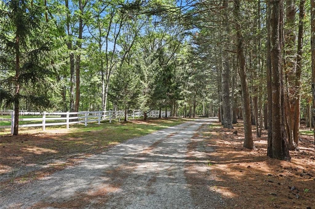 555 Carpenter Lane photo 48