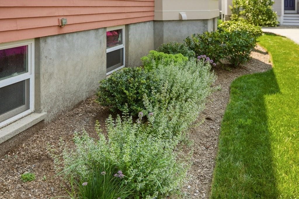 88 Burton Street photo 50