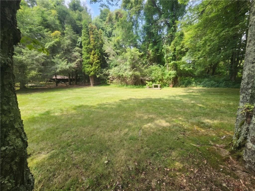 55 Holly Road photo 32