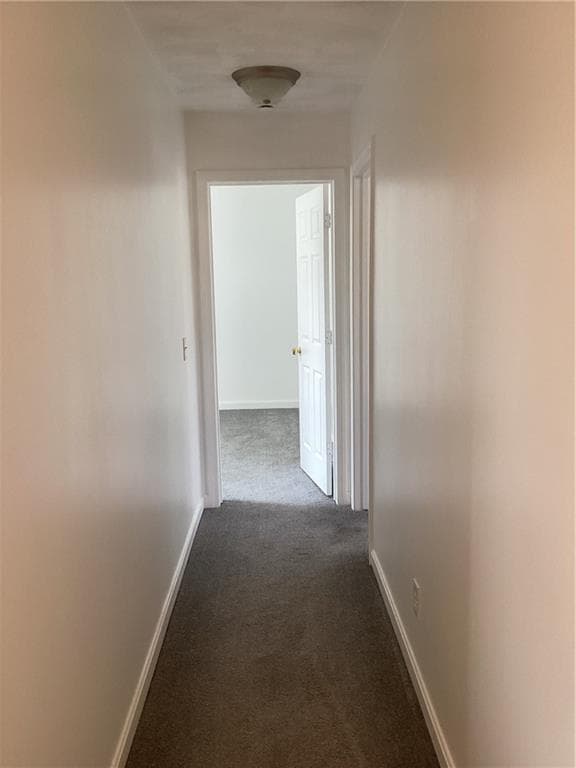 4 Legris Commons Lane UNIT 4 photo 19