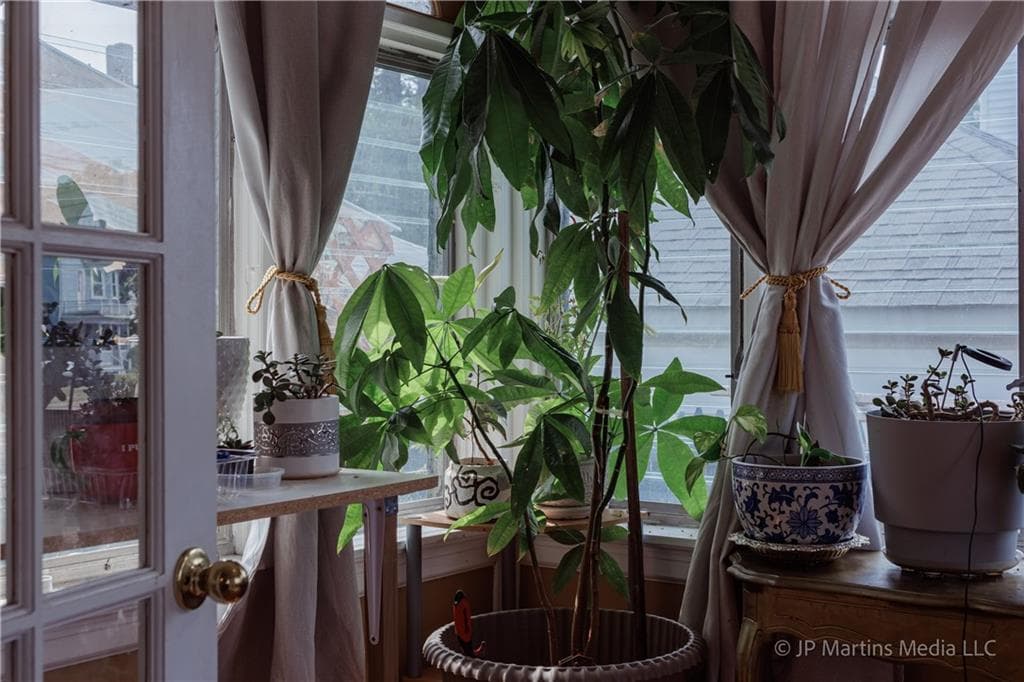 146 Garden Street photo 10