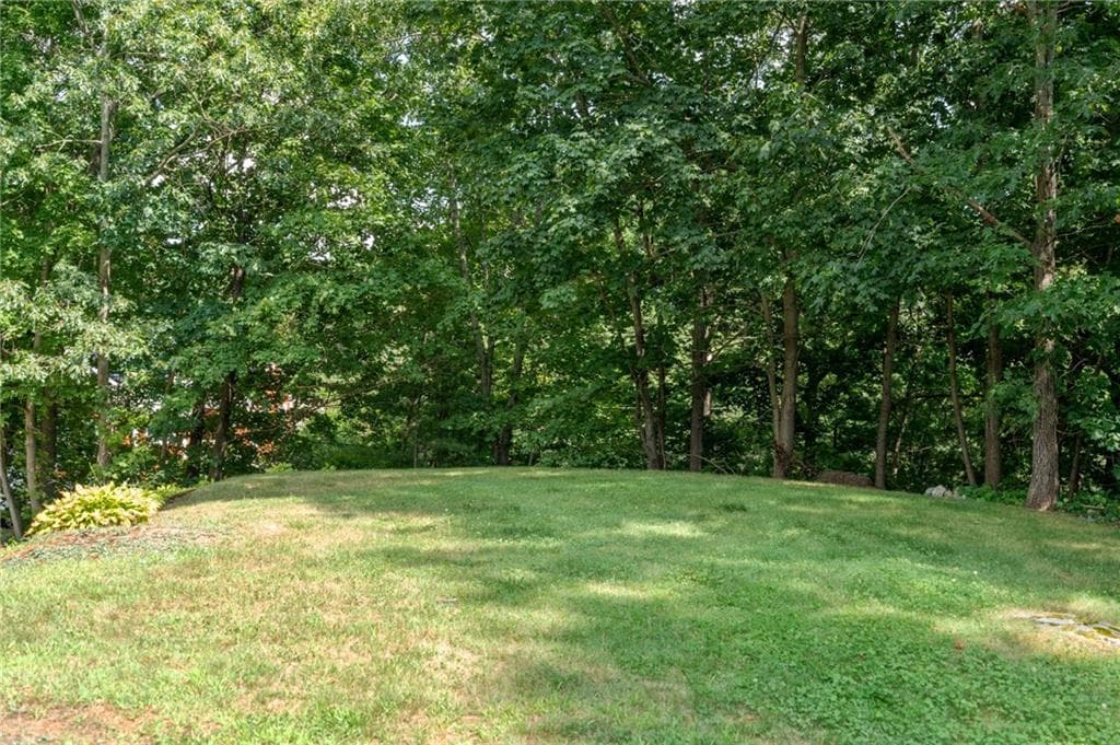 42 Pine Swamp Road photo 32