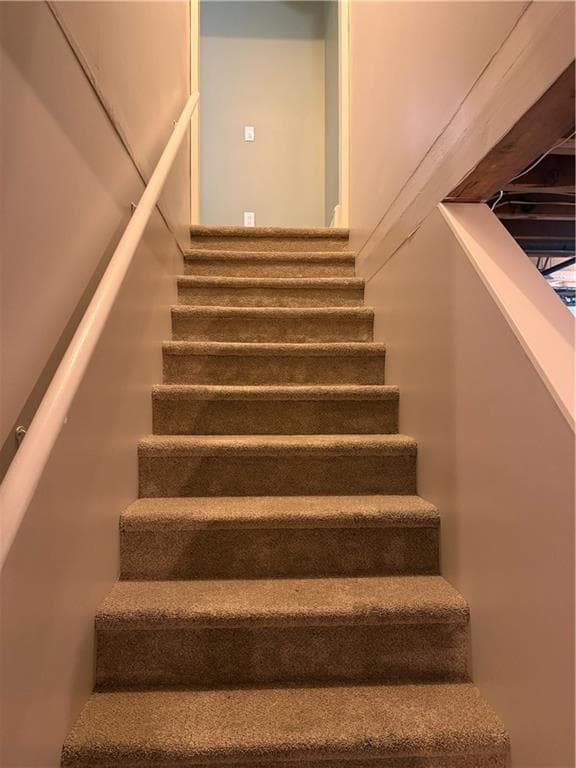 38 Ann Lane photo 20