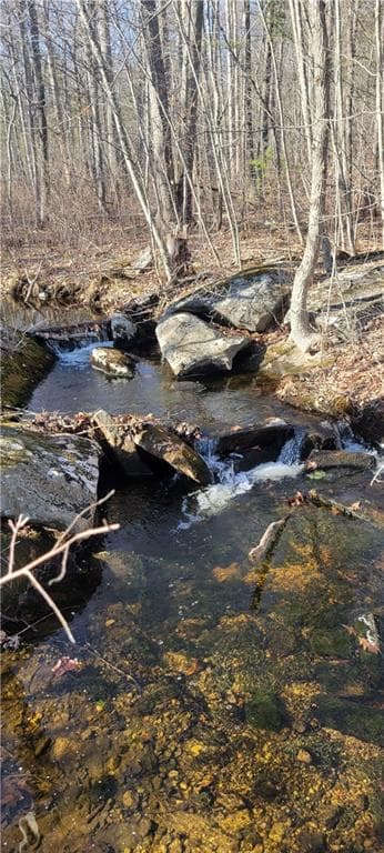 112 Cranberry Ridge Road photo 31