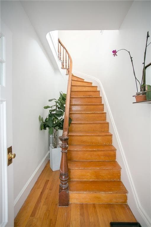 12 Poplar Street photo 9