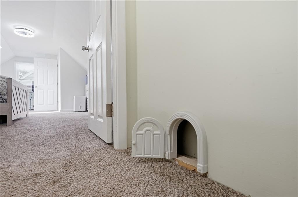 119 Frederick Street photo 19