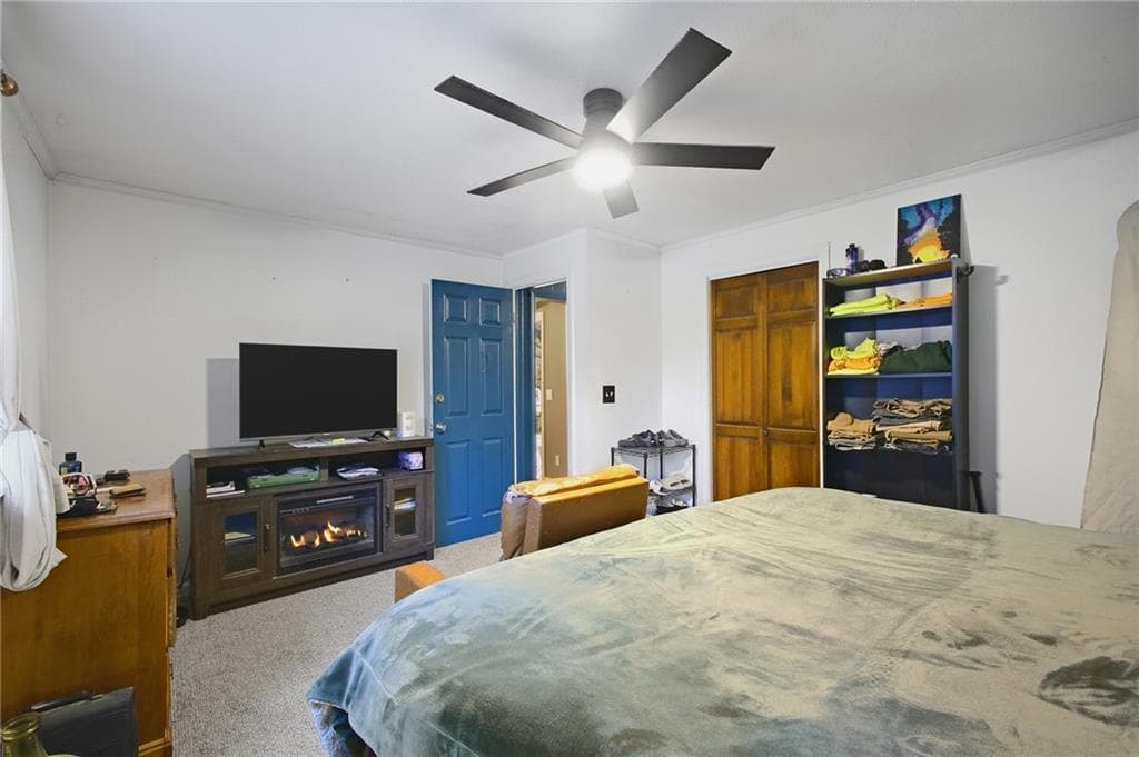 24 Fairbanks Avenue photo 26