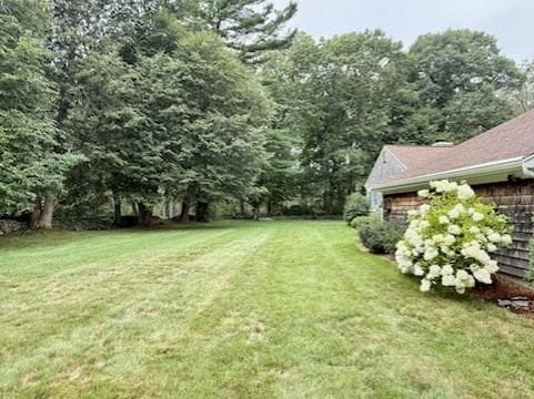 62 Cornell Drive photo 26