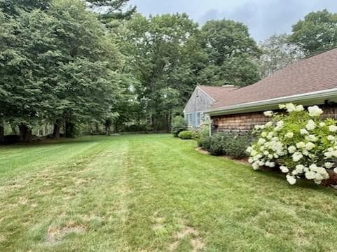 62 Cornell Drive photo 24