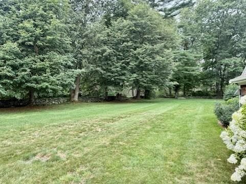 62 Cornell Drive photo 25