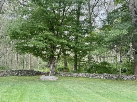 62 Cornell Drive photo 21