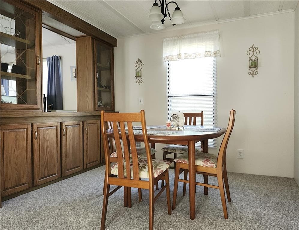 158 Holiday Court photo 13
