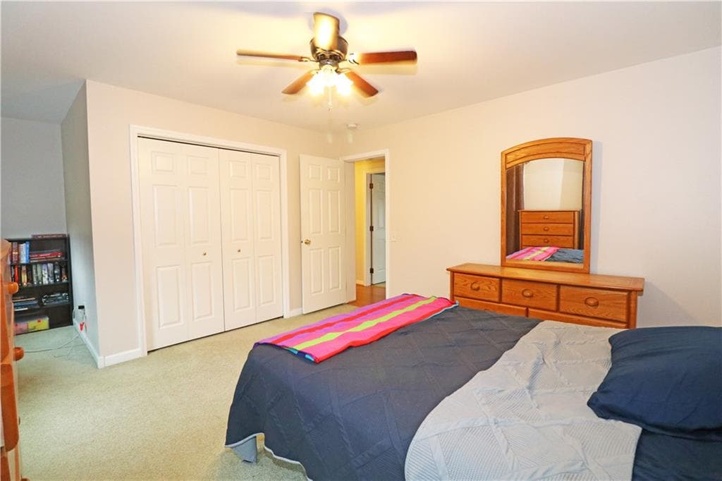 359 Main Road photo 24