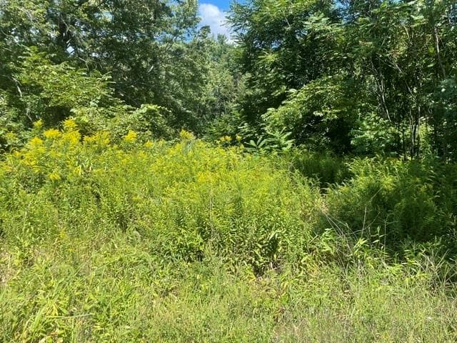 Unimproved Land at 0 Wallum Lake Road, Burrillville, photo 2 of 5