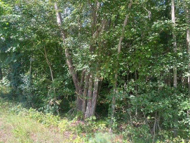 Unimproved Land at 0 Wallum Lake Road, Burrillville, photo 3 of 5