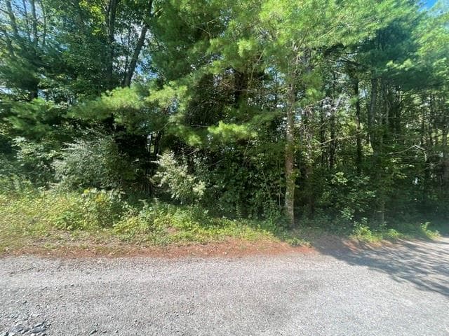 Unimproved Land at 0 Wallum Lake Road, Burrillville, photo 4 of 5