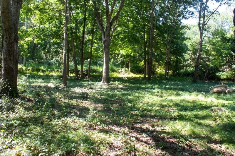 Unimproved Land at 0 Allen Avenue, South Kingstown, photo 12 of 13