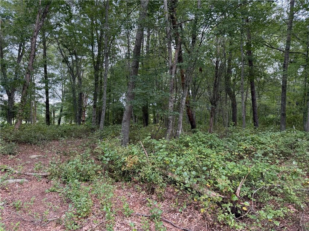 Unimproved Land at 97 North Woods Trail, South Kingstown, photo 2 of 4