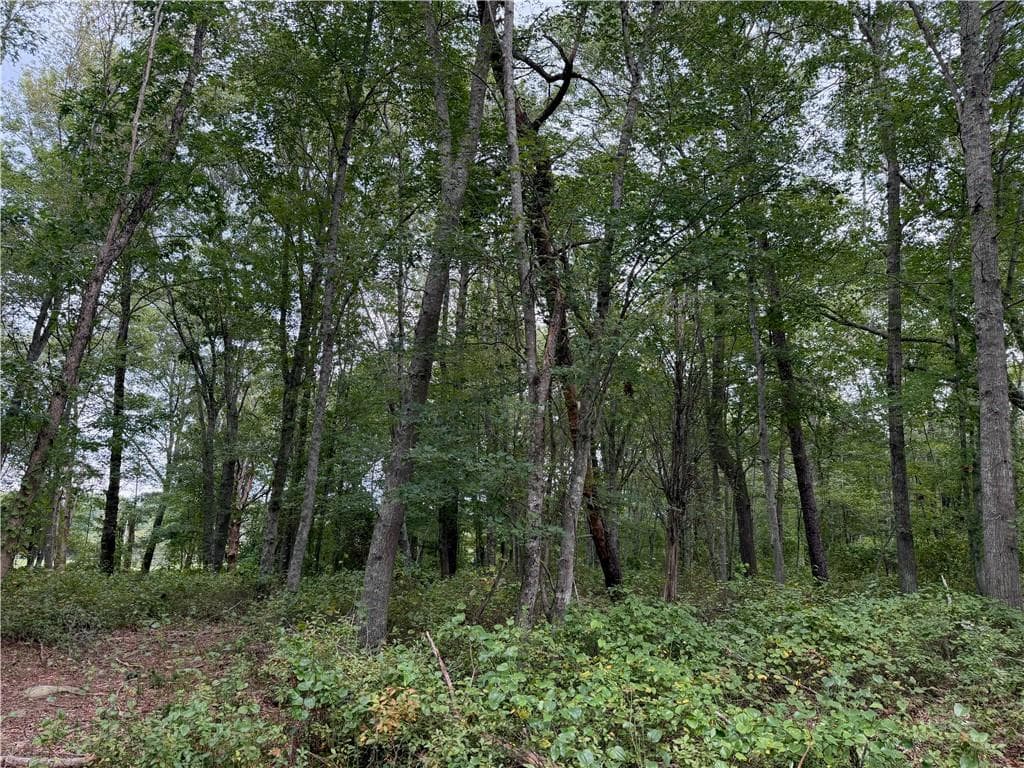 Unimproved Land at 97 North Woods Trail, South Kingstown, photo 4 of 4