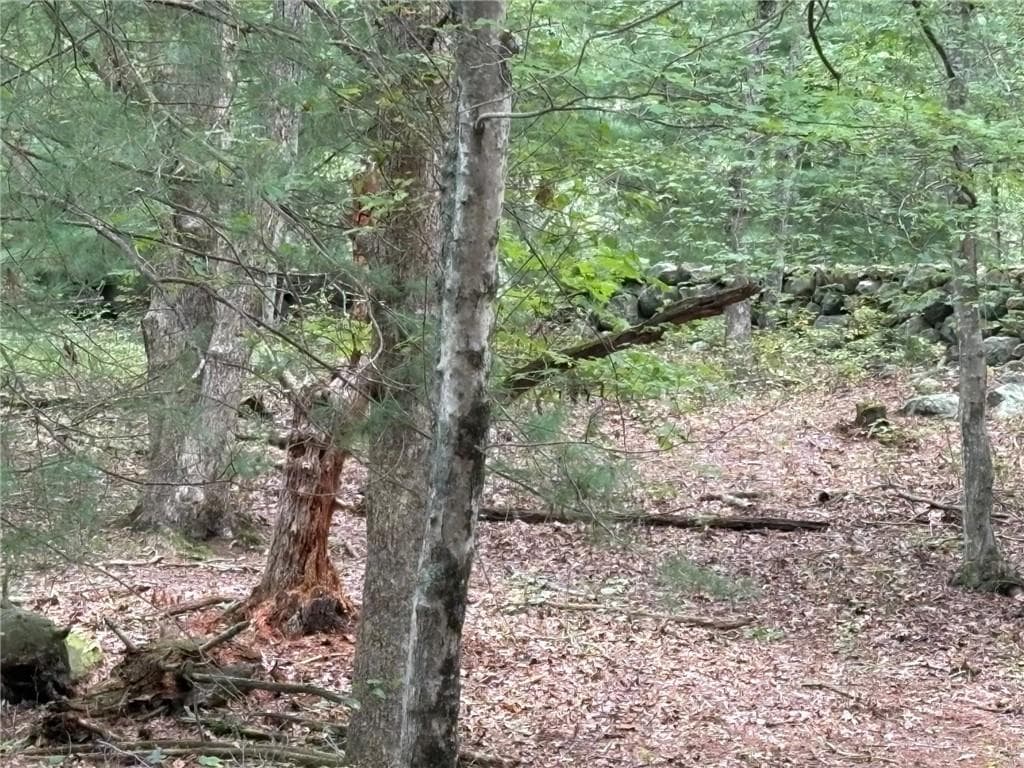 Unimproved Land at 0 Wood Soup Way, South Kingstown, photo 5 of 7