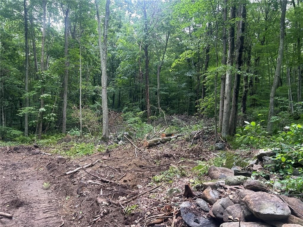 Unimproved Land at 263 Quaker Lane, Scituate, photo 9 of 27