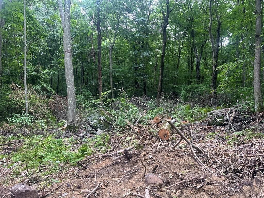 Unimproved Land at 263 Quaker Lane, Scituate, photo 8 of 27