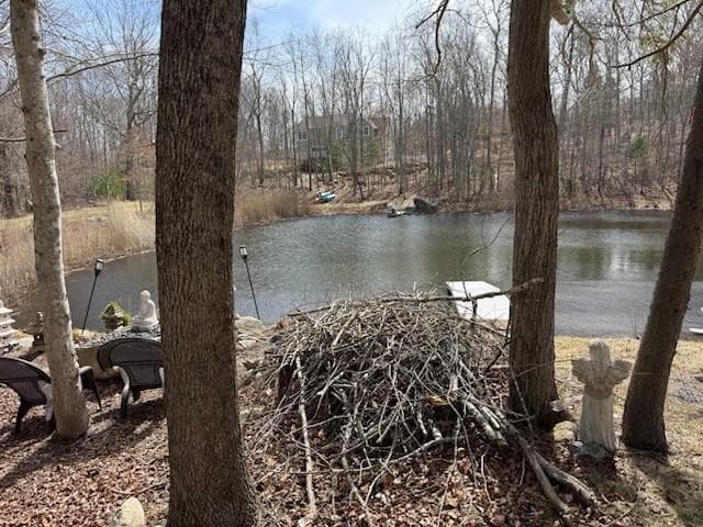 Unimproved Land at 0 Cucumber Hill Road, Foster, photo 3 of 8