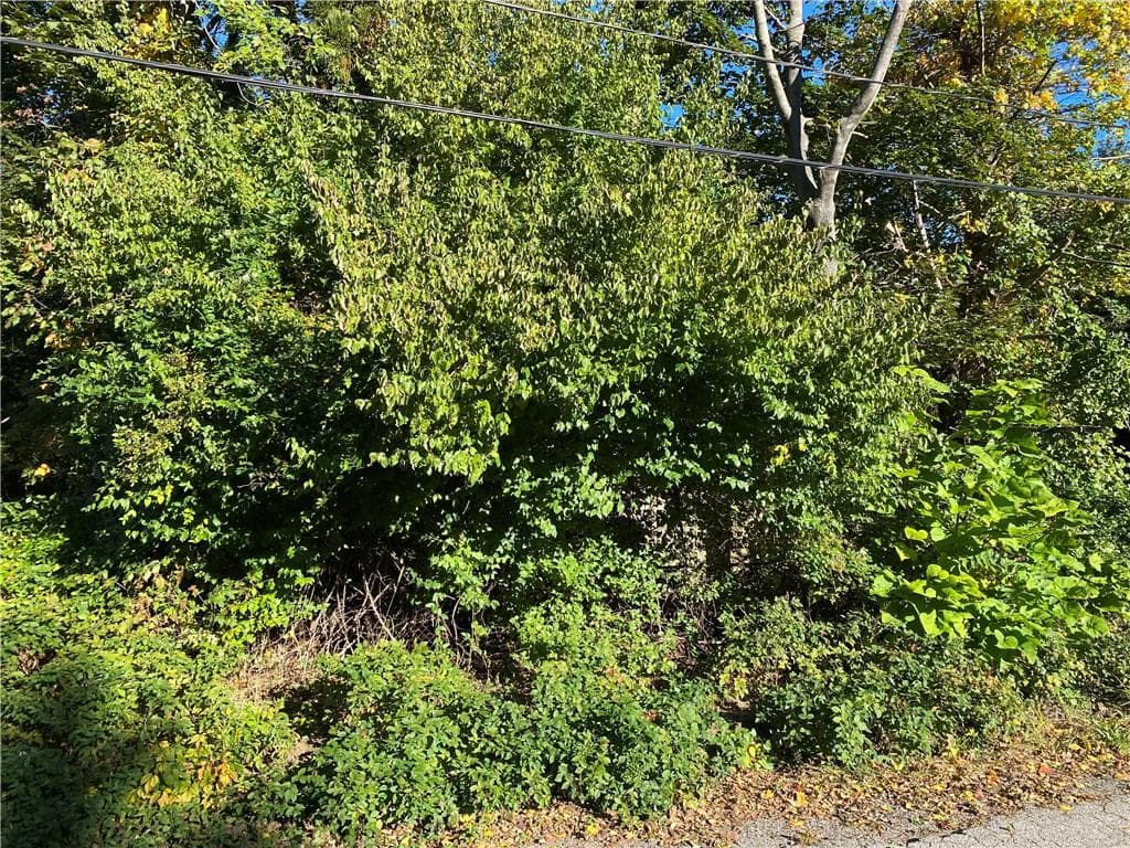 Unimproved Land at 0 Shirley Street, Warwick, photo 6 of 9