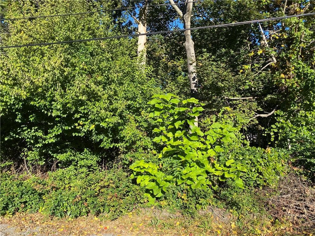 Unimproved Land at 0 Shirley Street, Warwick, photo 5 of 9