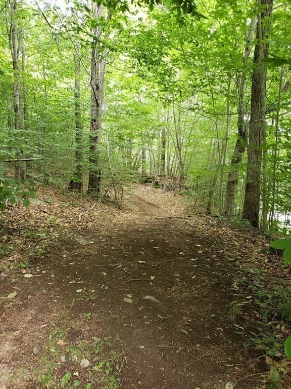 Residential at 0 East River Rd Lot 13 Map 409, Chester MA 01050, Chester, photo 2 of 7