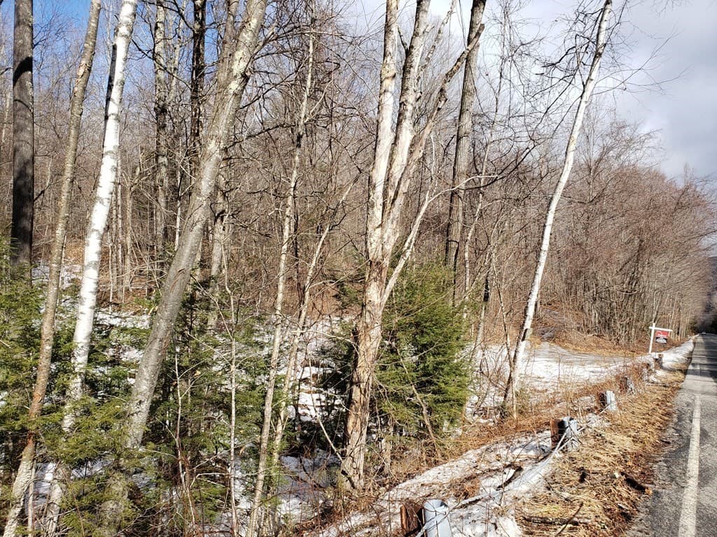 0 East River Rd Lot 13 Map 409, Chester MA 01050