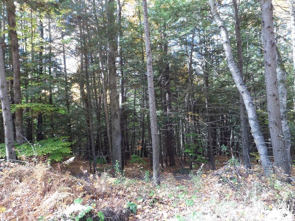 Residential at 0 Thayer Hill Rd, Worthington MA 01098, photo 3 of 4