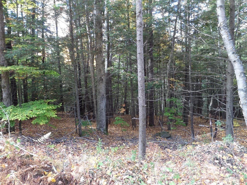 0 Thayer Hill Rd, Worthington MA 01098