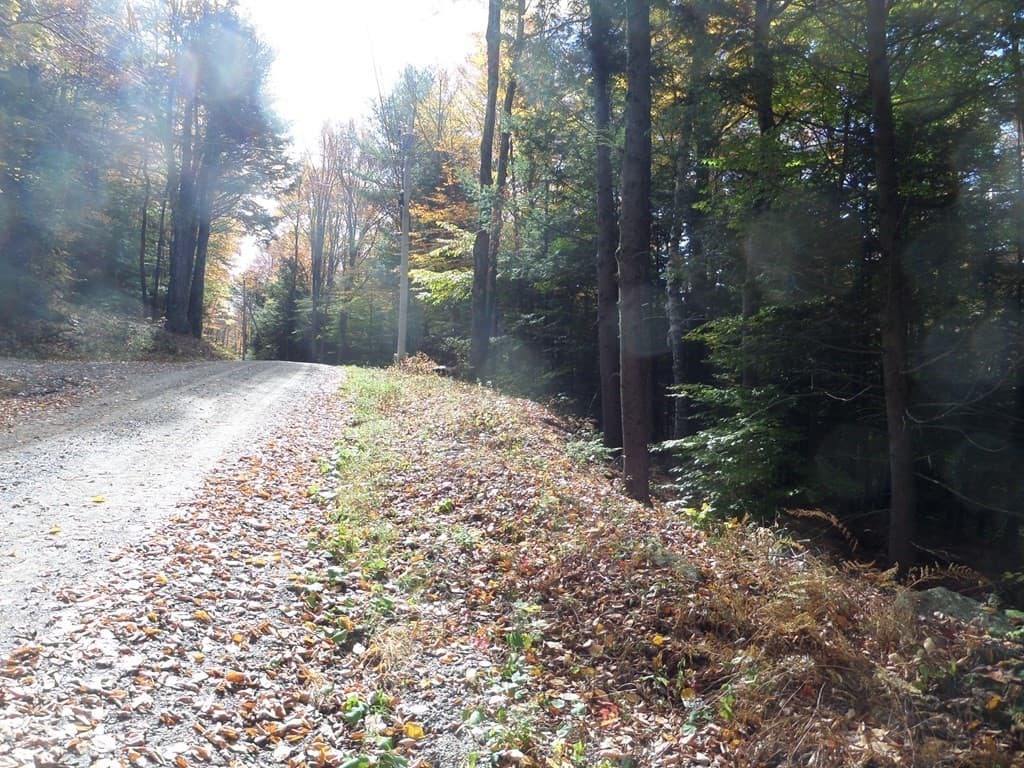 Residential at 0 Thayer Hill Rd, Worthington MA 01098, photo 4 of 4