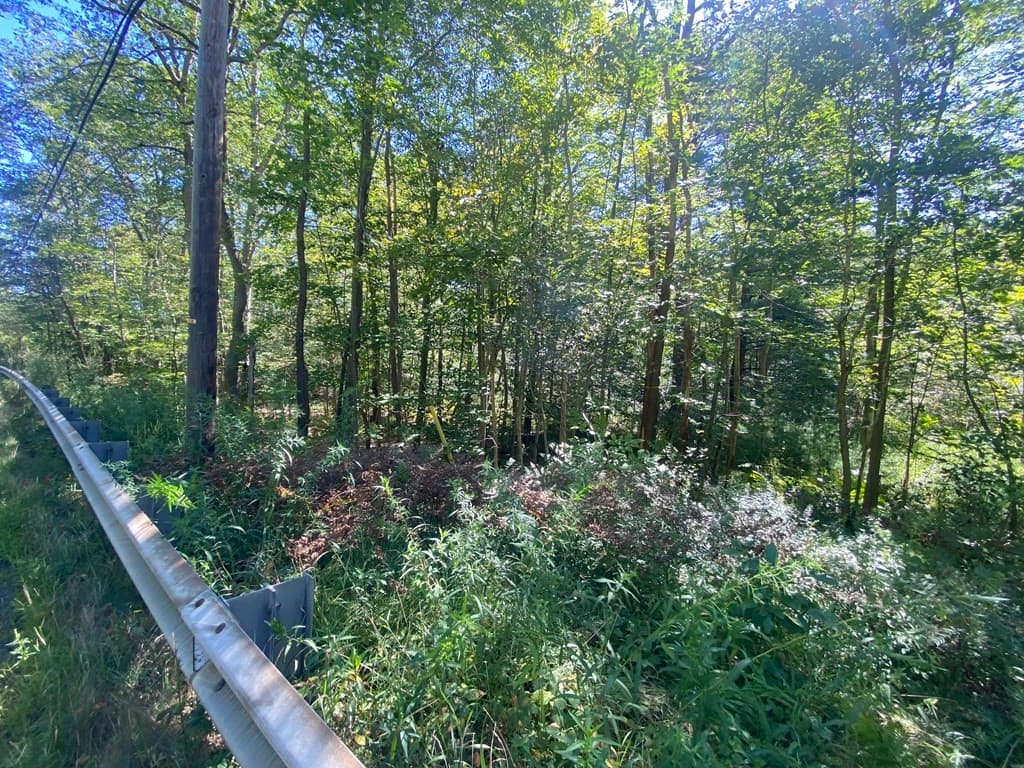 Residential at 0 State Road, Erving MA 01344, photo 3 of 4