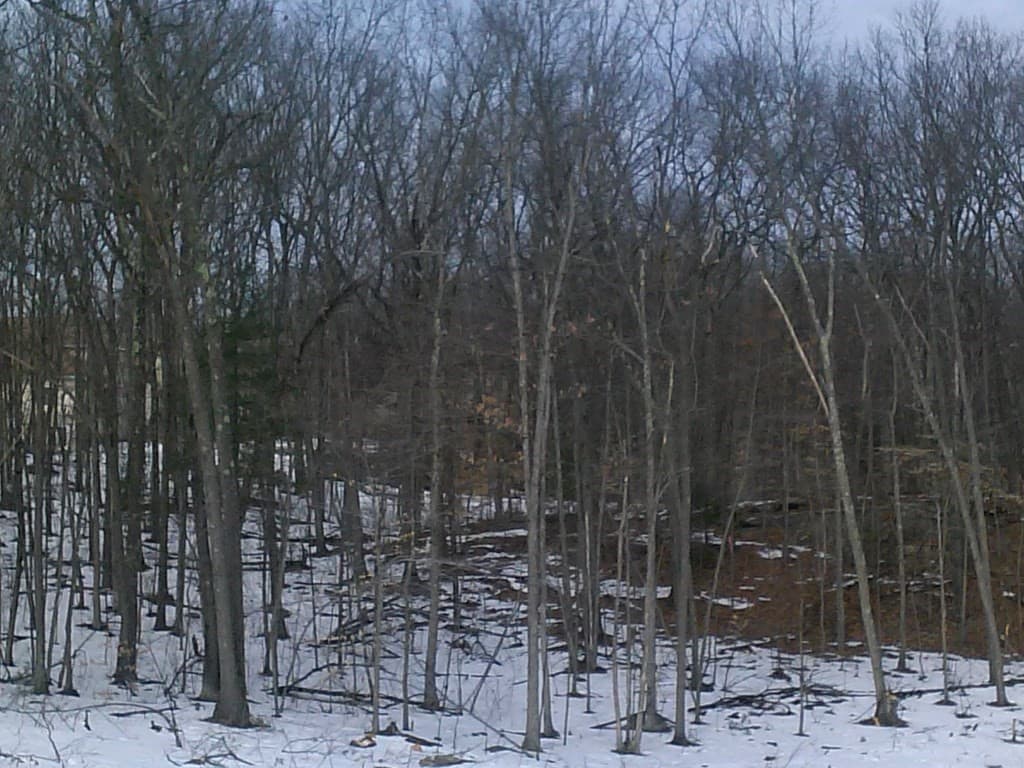 0 Silver St, Agawam MA 01001