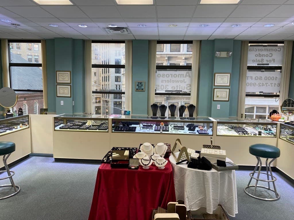 Commercial Sale at 333 Washington # 304, Boston MA 02108, photo 4 of 15