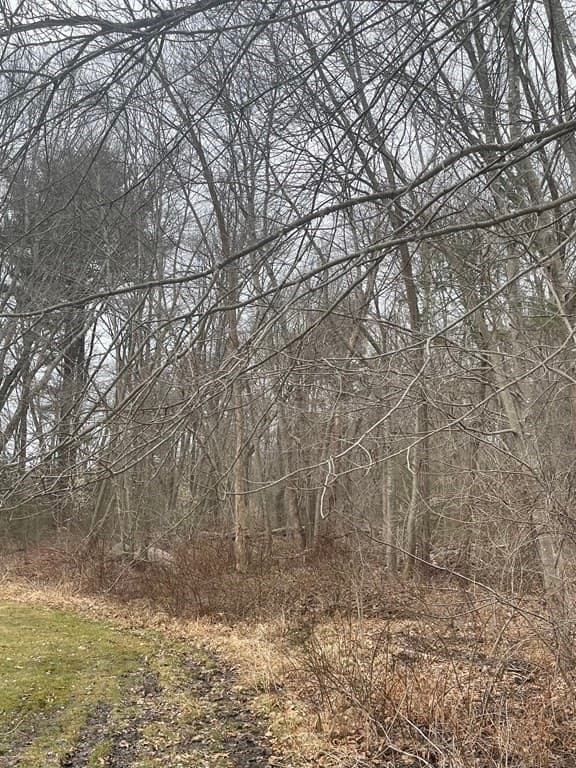 Residential at 0 Kimberly Rd, Taunton MA 02780, photo 6 of 9